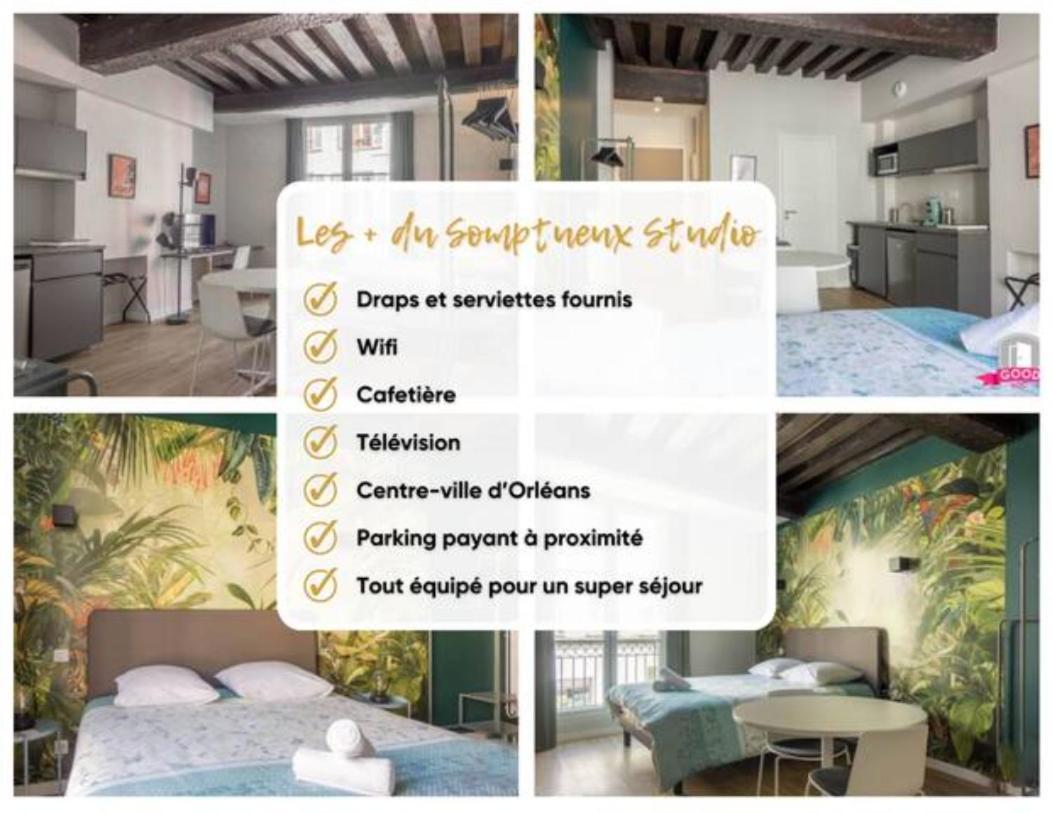 Somptueux Studio Hyper Centre Avec Wifi Apartman Orléans Kültér fotó